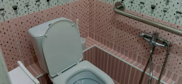 Meeting Diverse Needs With Accessible Restroom Solutions in Darien, IL